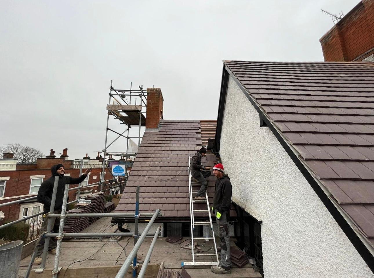 Garden with trees and shrubs